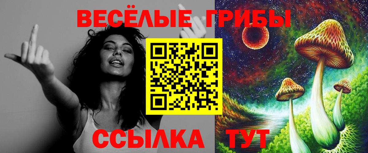 Галлюциногенные грибы мицелий  Вход с VPN  Евпатория 